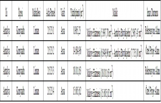 Antalya Boğaçay özel proje alanı yapımı ihalesi 5 Nisan da!