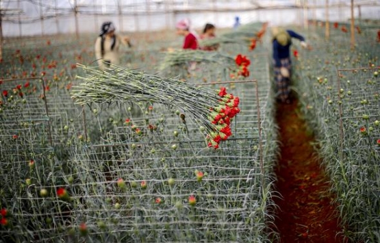 Evinin salonuna kendi serasını kurdu!