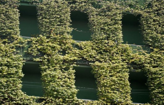 Adana daki sarmaşık bina görenleri şaşırtıyor!