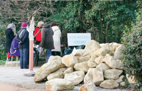 Validebağ korusu inşaatı