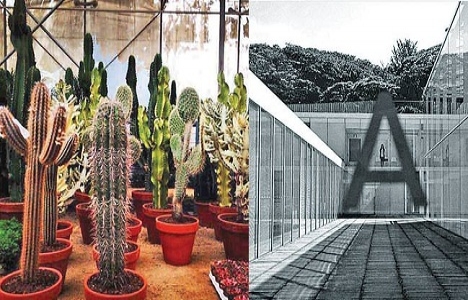 İşte Asena Erkin in malikanesi!