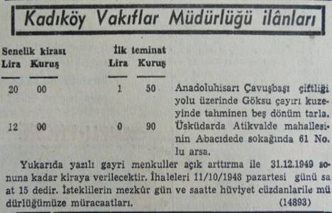 çavuşbaşı çiftliği