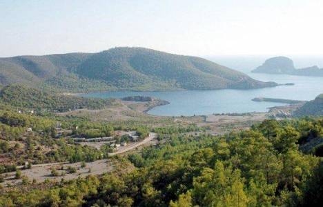 Akkuyu Nükleer Santrali'nin iptali, maddi kayba yol açar!