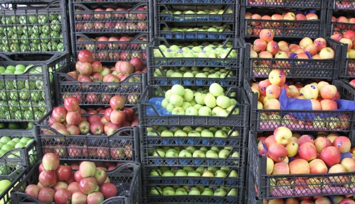 Armut 4 Elma 4 Kızılcık 20 TL! Bursa Hali’nde sebze ve meyve ne kadar? İşte 7 Ocak 2023 fiyat listesi...