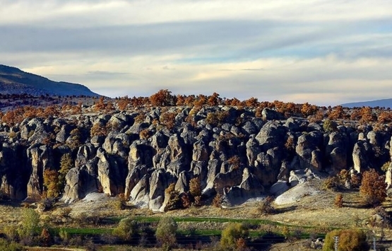 Konya Meram da 19 milyon TL ye icradan satılık 6 gayrimenkul!