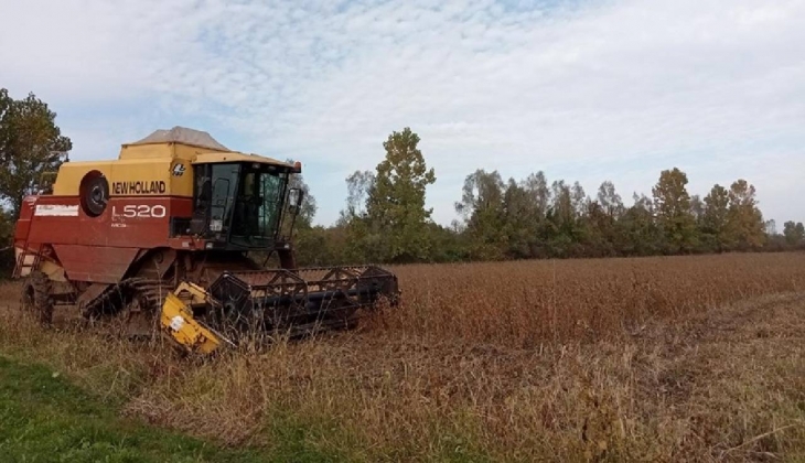 Dünyayı besliyor! Türkiye'de üretilmesi hedeflenen miktar dudak uçuklattı