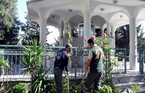 Üsküdar camilerini mor salkımlar saracak!