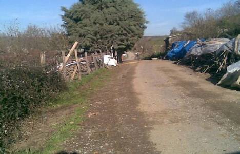 Tarım arazisine kurulmak istenen basketbol akademisine iptal kararı çıktı!