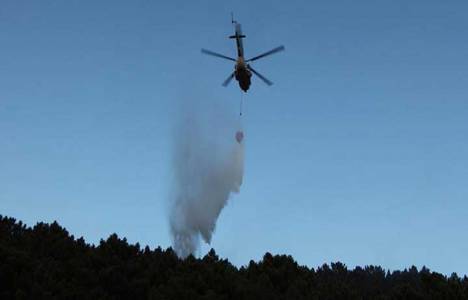 Maltepe'de 1 hektarlık ormanlık alan yandı!