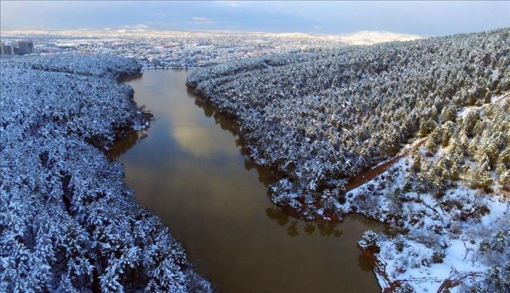 Aydos Ormanı’nın hemen yanında konut projesi yapılacak!