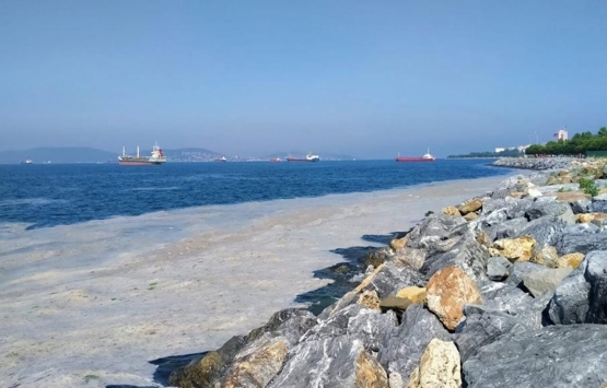 Müsilaj sayfiyelerdeki konut fiyatlarını nasıl etkiledi?