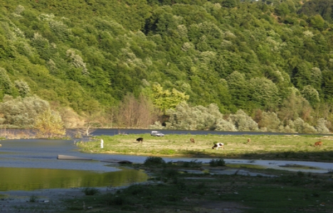 Su havzası koruma bandı!