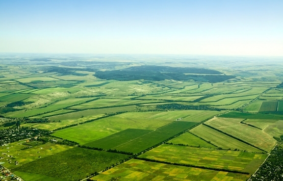 Hisseli gayrimenkule haciz gelirse tamamı satılır mı?