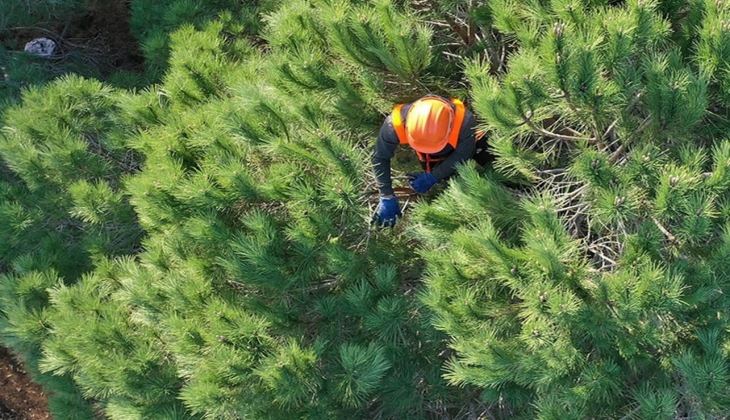 OGM 1.128 sözleşmeli memur alımını resmen duyurdu! Başvuru şartları belli oldu! Bu tarihleri kaçırmayın!