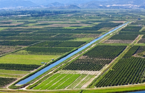 Tarım alanlarının inşaata açılması sorun yaratacak!