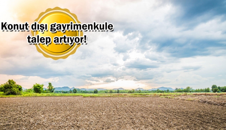 Uygun fiyatlı arsa ve tarla satışında rekor kırıldı! Ev alamayanlara yeni alternatif! 
