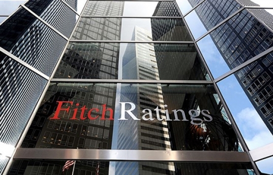 Fitch Ratings Direktörü Parker: Türkiye ekonomisi etkileyici bir şekilde direnç gösterdi!