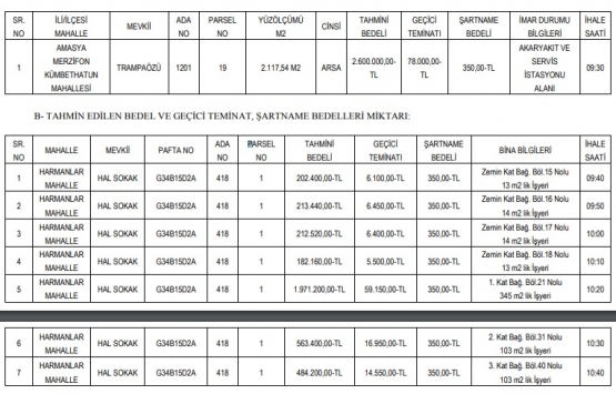 Amasya Merzifon da 6.4 milyon TL ye satılık 8 gayrimenkul!