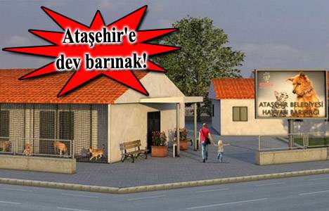 Ataşehir hayvan barınağının akıbeti belli oldu!
