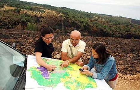Manisa Akhisar'da ağaçlandırma çalışmaları başladı!