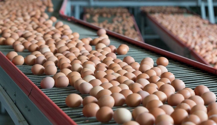 Rekabet Kurulu ndan yumurta üreticilerine en ağır ceza olan “kartel” cezası geldi
