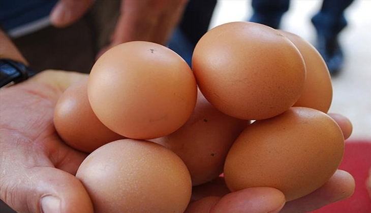 Yumurta fiyatları dudak uçuklattı! Yumurtanın kolisi ne kadar oldu? İşte detaylar!