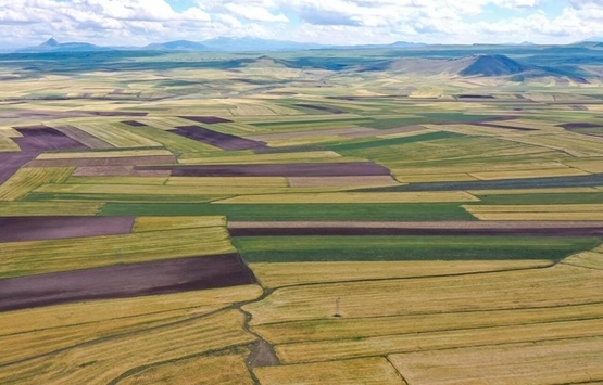 Denize sıfır araziler satışa çıktı!