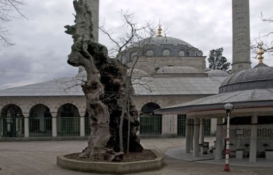 Mimar Sinan ın izinde İstanbul!