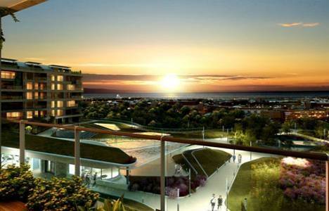 Koru Florya resimleri!