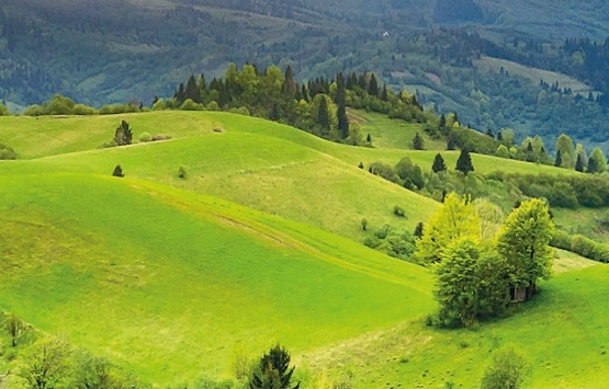 Arazi bankası kuruluyor!