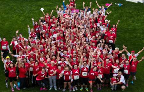 İşbir Yatak projeleri