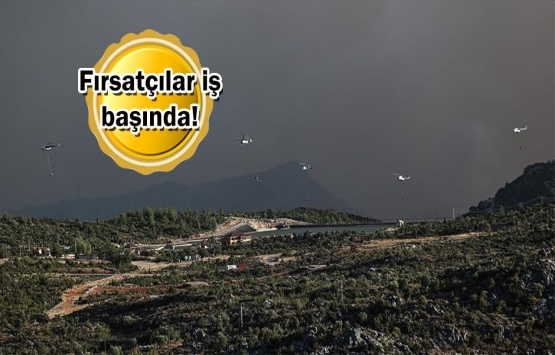 Yanan arazileri satışa çıkardılar!