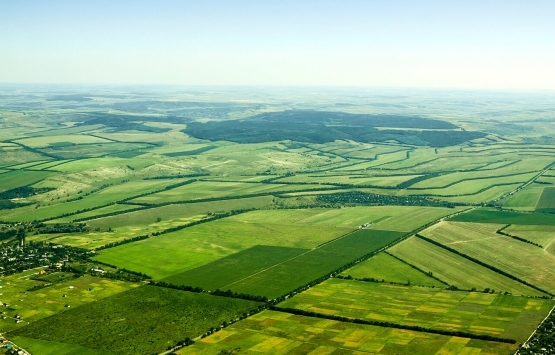 Cumhurbaşkanı Erdoğan dan arazi toplulaştırma açıklaması!