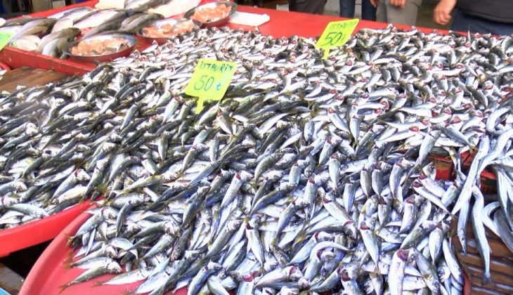 Hamsinin yerini istavrit aldı, tezgahlar doldu taştı!