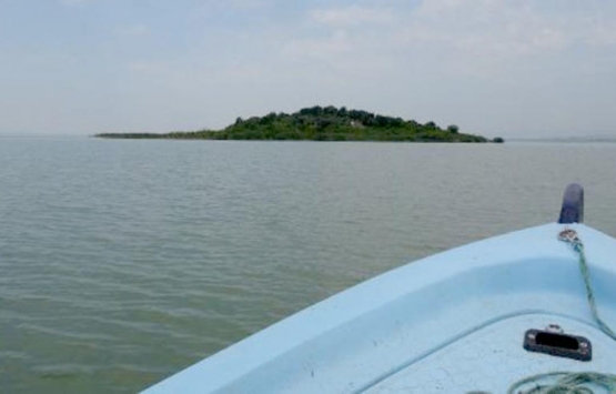 Bursa da 13 milyon TL ye satılık ada!