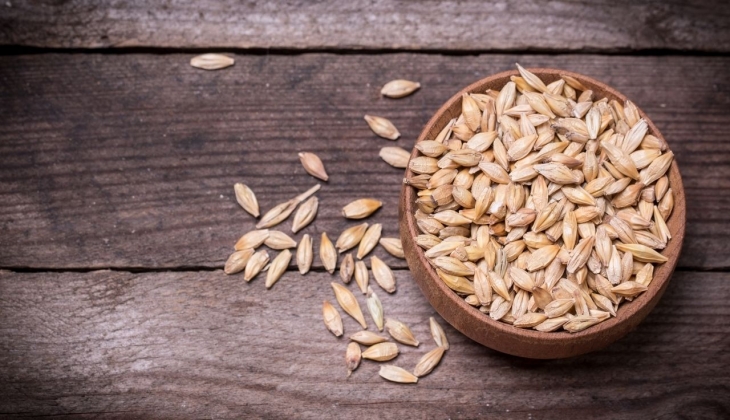 Çiftçiden borca mahsuben arpa alımı yapılacak! Arpa alım fiyatı bakın ne kadar oldu?