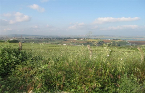 Çatalca'da satılık tarla! 11,7 milyon TL'ye!