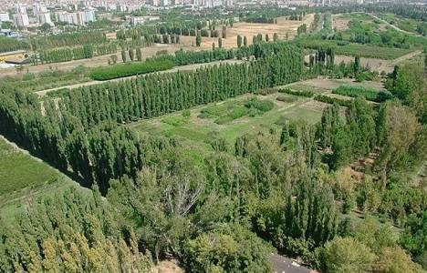 TMMOB Çevre Mühendisleri Odası Ana Yönetmeliği'nde değişiklik!