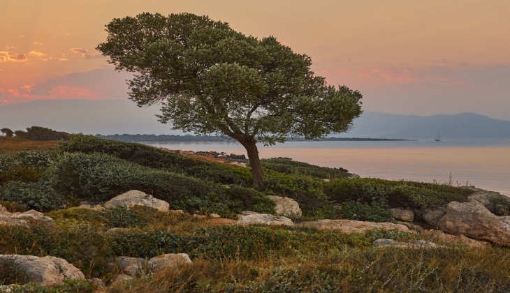 Turizmde 150 Milyon Euro yu aşan dev yatırım için düğmeye basıldı! Anda Barut Collection geliyor!