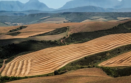 Tarım arazileri internetten kiralanabilecek!