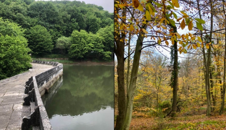 Belgrad Ormanı nın imara açılması Meclis gündeminde!