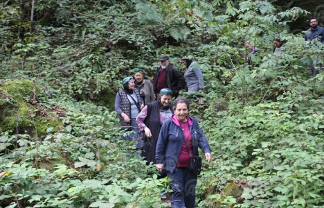 Yeşil Yol projesine tepki verildi!