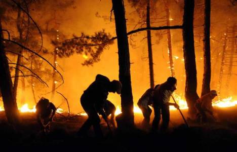 Osmaniye'de orman yangını çıktı!