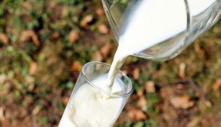 Sütte korkutan senaryo! Sütte tehlike çanları mı çalıyor? İşte detaylar!