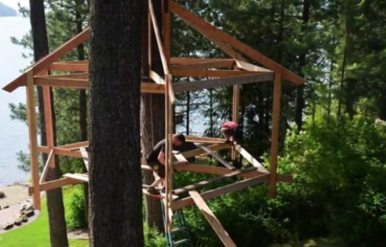 ABD deki ağaç ev görenleri hayran bırakıyor!