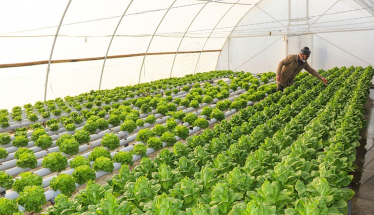 Çiftçilere 50 milyon TL kredi müjdesi! Seracılıkta tarihi yatırım fırsatını kaçırmayın! İşte kredi detayları...