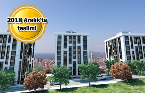 Tam Pendik projesi geliyor! Yeni proje!