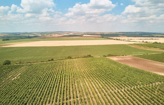 İzmir Urla da denize sıfır Hazine arazisi kooperatife satıldı iddiası!