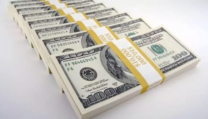 Elinde bir doları bile olanlar hemen baksın! İşte doların tavan yapacağı tarih