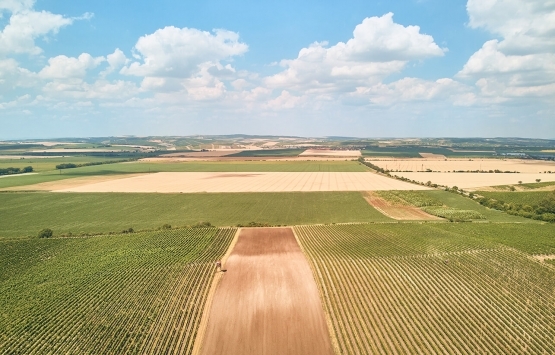 Hisseli gayrimenkule haciz gelirse tamamı satılır mı?